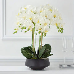 Bouquet Arrangement (Large)