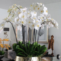 Bouquet Arrangement (Large)